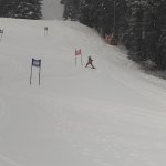 phoca_thumb_m_lye zvody 50 Fotogalerie